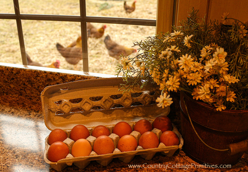 Organic, Pastured raised Eggs